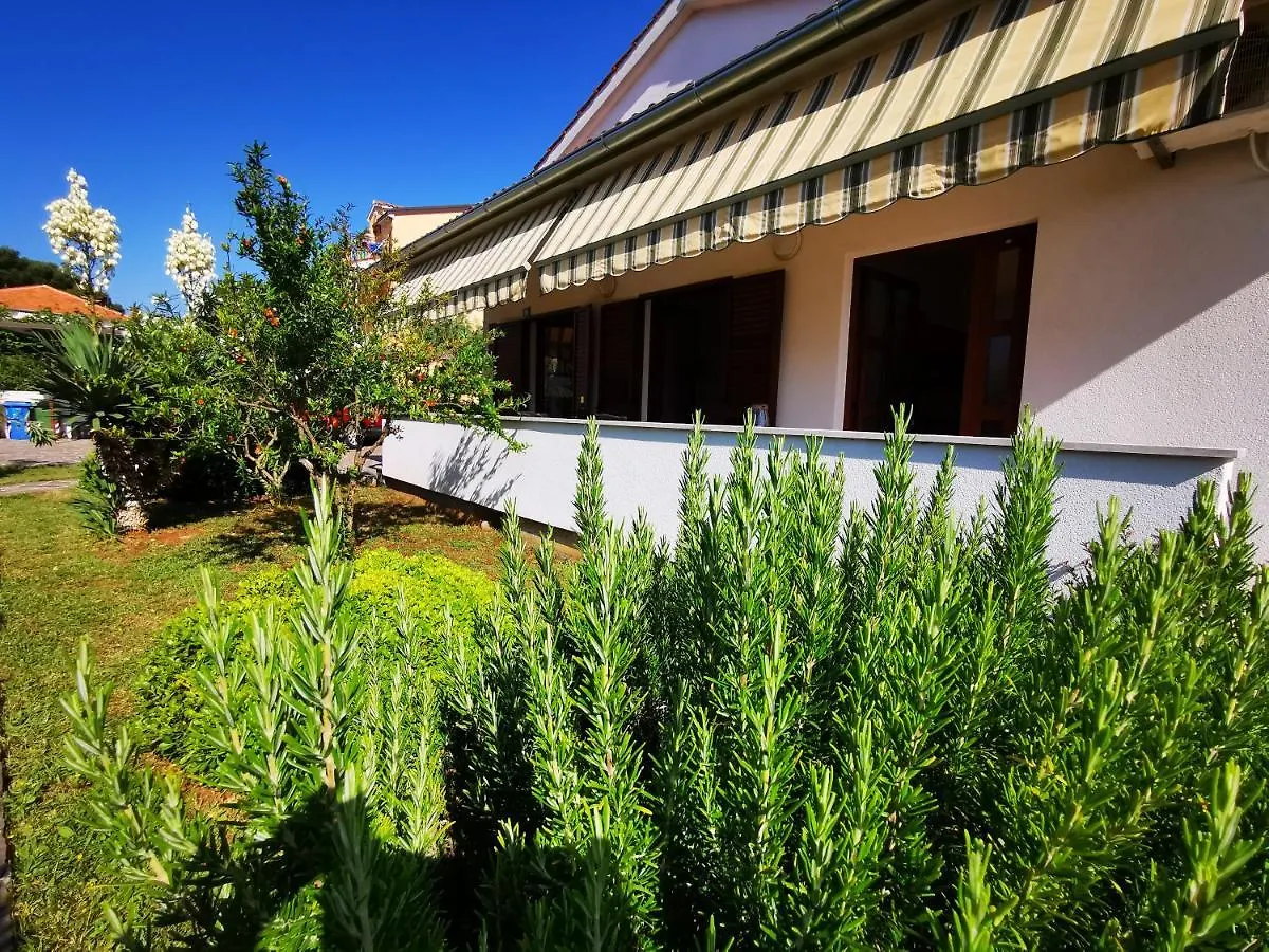 Apartments Medusa Rovigno 0*,