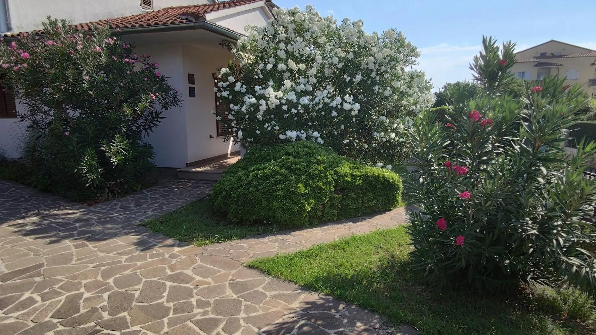 Apartments Medusa Rovigno Croazia